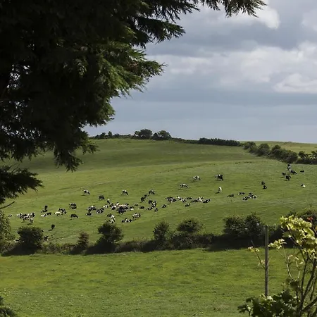Bed & Breakfast Ard Na Greine