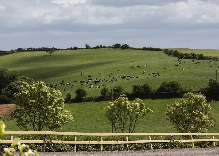 Bed & Breakfast Ard Na Greine 3*